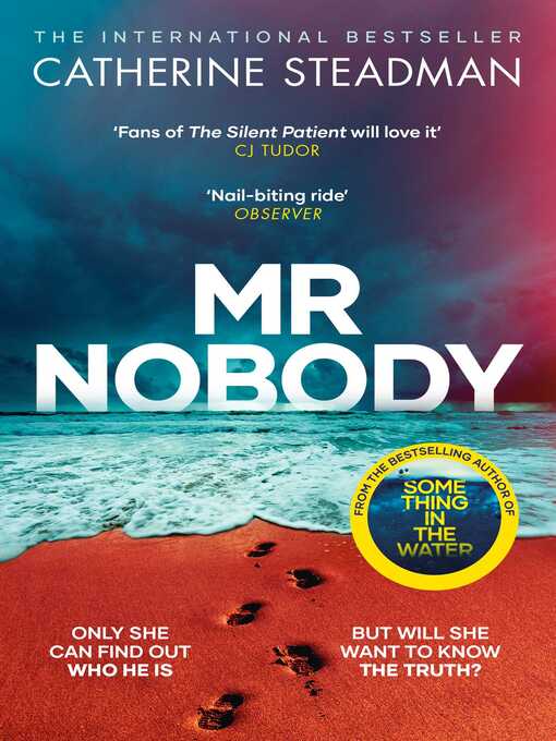 Title details for Mr Nobody by Catherine Steadman - Wait list
